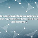 Réponse rapide : quels avantages majeurs les plantes et les champignons mycorhiziens tirent-ils de leur relation symbiotique ?